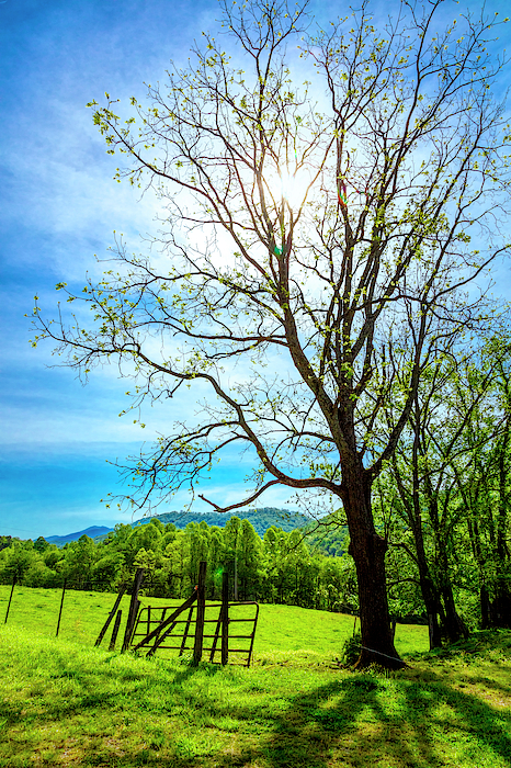 Farm Gate by Debra and Dave Vanderlaan Farm Gate by Debra and Dave Vanderlaan